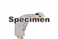 GIL24-Emission رسوم متحركة تعليم الصلاة للأطفال缩略图