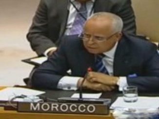 لوليشكي: دعوة الملك إلى الحوار مع الجزائر مبادرة تخدم الاستقرار والازدهار缩略图