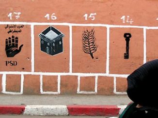 التأطير الحزبي والتأهيل السياسي缩略图