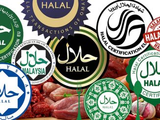 تركيا تحتضن القمة العالمية للمنتجات الحلال缩略图