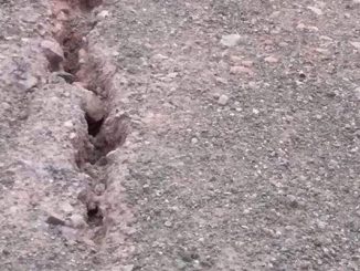 جماعة عين الصفا…يا فرحة ما تمت !!!缩略图