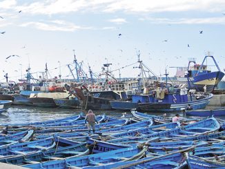 تراجع مخزون الثروات السمكية في المغرب缩略图