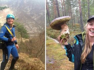 لفتيت: مرتكبو جريمة الحوز ذئاب منفردة缩略图