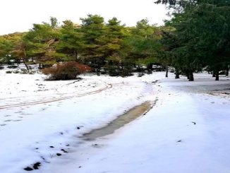 صور: الثلوج تكسو عين ألمو缩略图