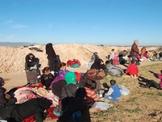 الأمم المتحدة تنتقد إغلاق الجزائر الحدود أمام لاجئين سوريين عالقين缩略图