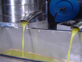 “خروقات” تمنع تشغيل 8 معاصر للزيتون بتاونات缩略图