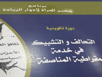 الجمعية الديمقراطية لنساء المغرب: التحالف و التشبيك في خدمة ديمقراطية المناصفة缩略图