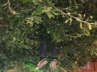 بركان:أربعيني يقدم على وضع حد لحياته شنقا قرب مقر الشرطة缩略图