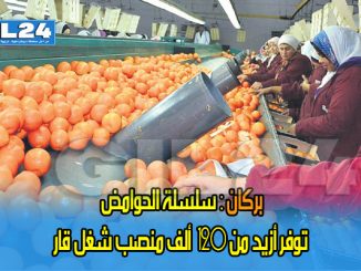 بركان: سلسلة الحوامض  توفر أزيد من 120 ألف منصب شغل قار缩略图