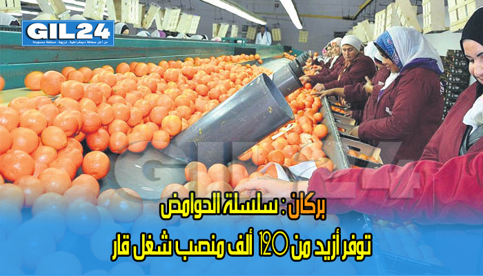 بركان: سلسلة الحوامض توفر أزيد من 120 ألف منصب شغل قار缩略图 بركان: سلسلة الحوامض توفر أزيد من 120 ألف منصب شغل قار缩略图