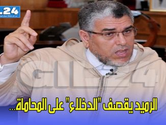 الرميد يقصف “الدخلاء” على المحاماة…缩略图