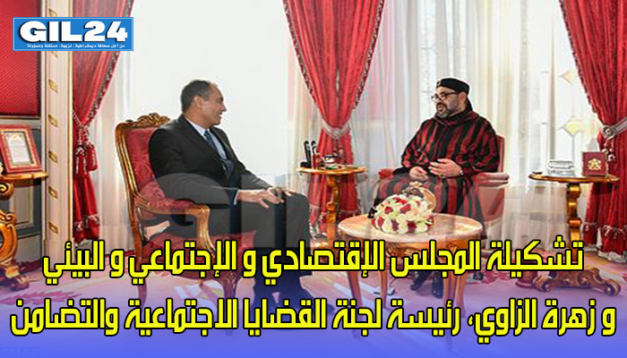هذه هي تشكيلة المجلس الإقتصادي و الإجتماعي و البيئي缩略图 هذه هي تشكيلة المجلس الإقتصادي و الإجتماعي و البيئي缩略图
