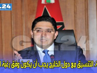 بوريطة: التنسيق مع دول الخليج يجب أن يكون وفق رغبة الجانبين缩略图