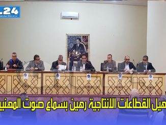 تأهيل القطاعات الانتاجية رهين بسماع صوت المهنيين缩略图