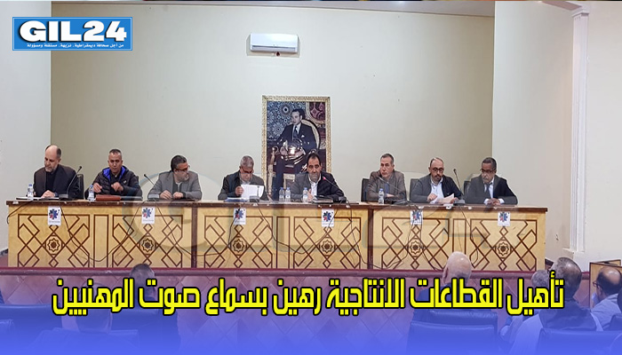 تأهيل القطاعات الانتاجية رهين بسماع صوت المهنيين缩略图 تأهيل القطاعات الانتاجية رهين بسماع صوت المهنيين缩略图