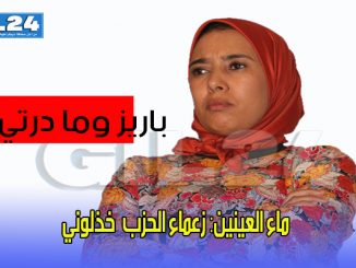ماء العينين: زعماء الحزب وعلى رأسهم العثماني خذلوني بسبب “صور باريس”缩略图