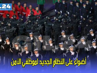 أضواء على النظام الجديد لموظفي الأمن缩略图