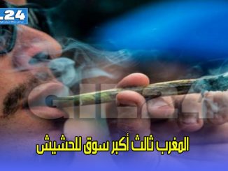 المغرب ثالث أكبر سوق للحشيش و1,7 مليون مغربي مدمن على تدخينه缩略图