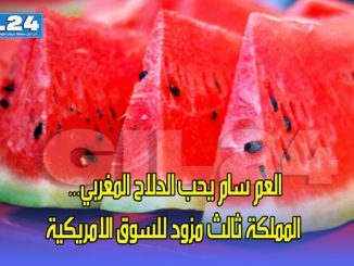 العم سام يحب الدلاح المغربي… المملكة ثالث مزود للسوق الامريكية缩略图