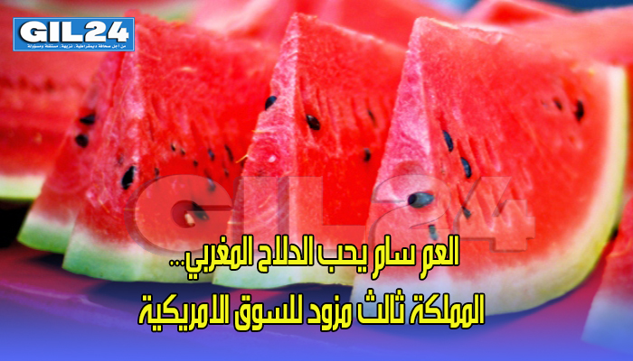 العم سام يحب الدلاح المغربي… المملكة ثالث مزود للسوق الامريكية缩略图 العم سام يحب الدلاح المغربي… المملكة ثالث مزود للسوق الامريكية缩略图