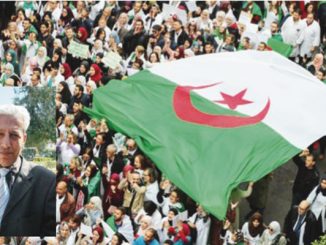 بين الأيديولوجيا والثقافة الحقوقية缩略图