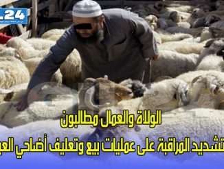 الولاة والعمال مطالبون بتشديد المراقبة على عمليات بيع وتعليف أضاحي العيد缩略图