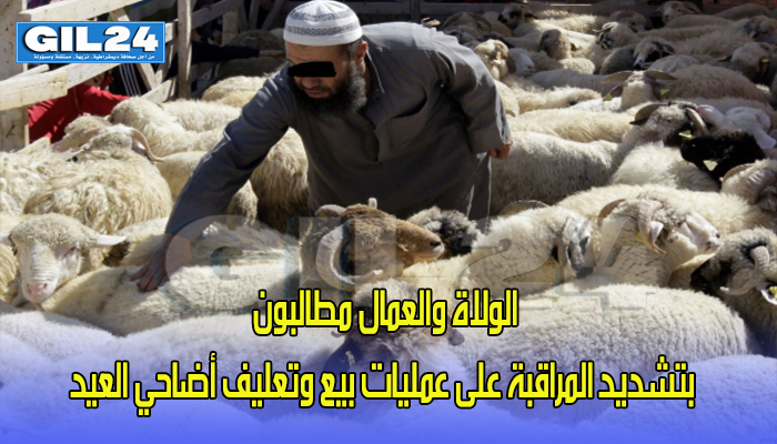 الولاة والعمال مطالبون بتشديد المراقبة على عمليات بيع وتعليف أضاحي العيد缩略图 الولاة والعمال مطالبون بتشديد المراقبة على عمليات بيع وتعليف أضاحي العيد缩略图