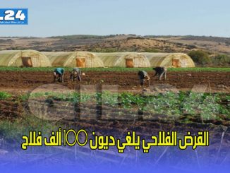 القرض الفلاحي يلغي ديون 100 ألف فلاح缩略图