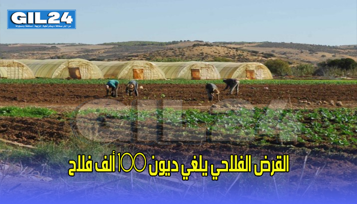 القرض الفلاحي يلغي ديون 100 ألف فلاح缩略图 القرض الفلاحي يلغي ديون 100 ألف فلاح缩略图
