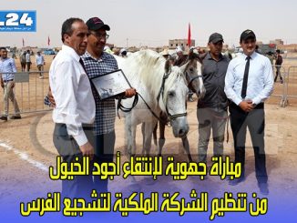 مباراة جهوية لإنتقاء أجود الخيول من تنظيم الشركة الملكية لتشجيع الفرس缩略图