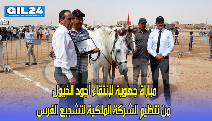 مباراة جهوية لإنتقاء أجود الخيول من تنظيم الشركة الملكية لتشجيع الفرس缩略图 مباراة جهوية لإنتقاء أجود الخيول من تنظيم الشركة الملكية لتشجيع الفرس缩略图