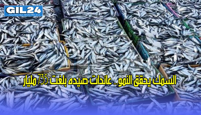 السمك يحقق النمو… عائدات صيده بلغت 735 مليار缩略图 السمك يحقق النمو… عائدات صيده بلغت 735 مليار缩略图