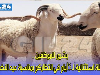 بشرى للموظفين .. عطلة استثنائية لـ 5 أيام في انتظاركم بمناسبة عيد الأضحى缩略图