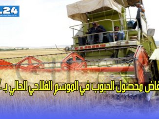 انخفاض محصول الحبوب في الموسم الفلاحي الحالي بـ 43%缩略图