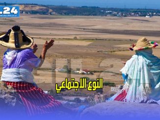 النوع الاجتماعي缩略图