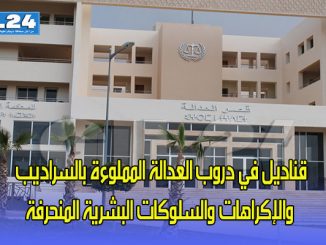 قناديل في دروب العدالة المملوءة بالسراديب والإكراهات والسلوكات البشرية المنحرفة缩略图