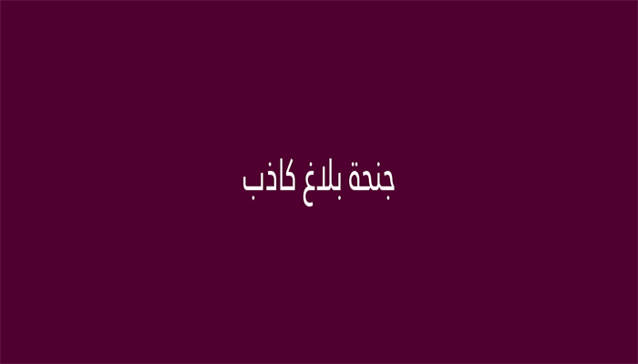توقيف شخص ادلى ببلاغ كاذب عن جريمة ارهابية缩略图 توقيف شخص ادلى ببلاغ كاذب عن جريمة ارهابية缩略图
