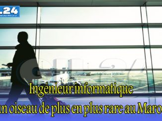 Ingénieur informatique, un oiseau de plus en plus rare au Maroc缩略图