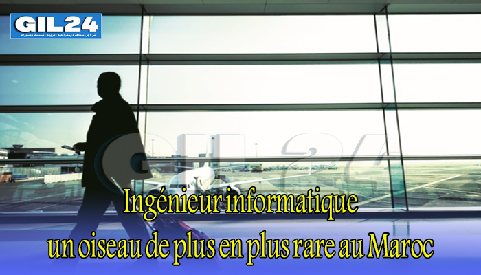 Ingénieur informatique, un oiseau de plus en plus rare au Maroc缩略图 Ingénieur informatique, un oiseau de plus en plus rare au Maroc缩略图