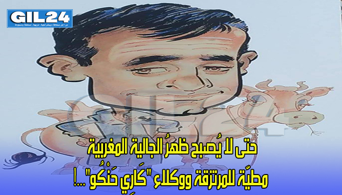 حتى لا يُصبح ظهرُ الجالية المغربية مطيّة للمرتزقة ووكلاء “كَارِي حَنْكُو”…!缩略图 حتى لا يُصبح ظهرُ الجالية المغربية مطيّة للمرتزقة ووكلاء “كَارِي حَنْكُو”…!缩略图