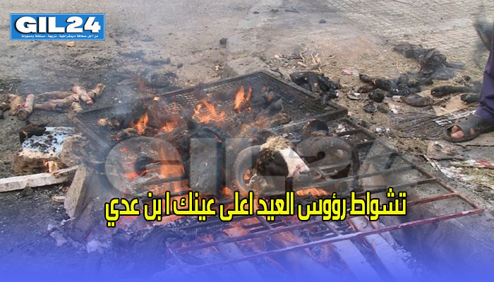 تشواط رؤوس العيد اعلى عينك ا بن عدي缩略图 تشواط رؤوس العيد اعلى عينك ا بن عدي缩略图