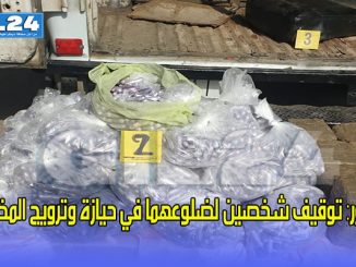 الناظور: توقيف شخصين لضلوعهما في حيازة وترويج المخدرات缩略图