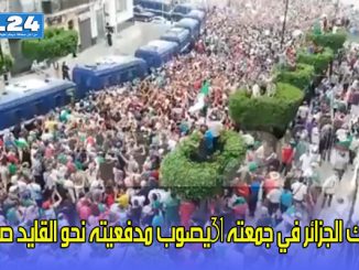 حراك الجزائر في جمعته 31يصوب مدفعيته نحو القايد صالح缩略图