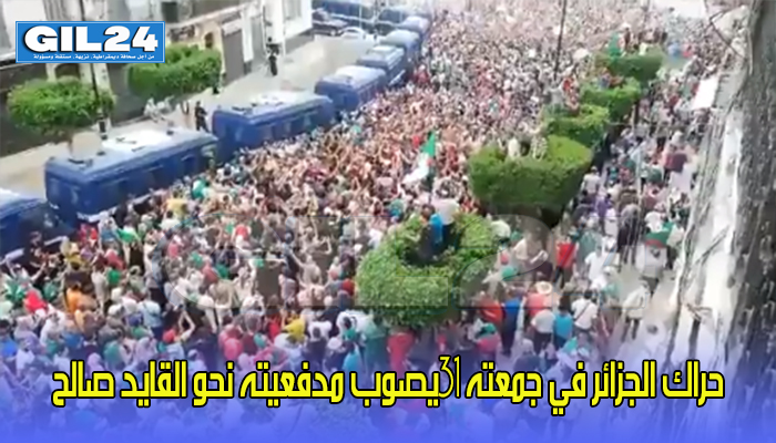 حراك الجزائر في جمعته 31يصوب مدفعيته نحو القايد صالح缩略图 حراك الجزائر في جمعته 31يصوب مدفعيته نحو القايد صالح缩略图