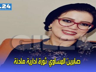 ثورة ادارية هادئة缩略图