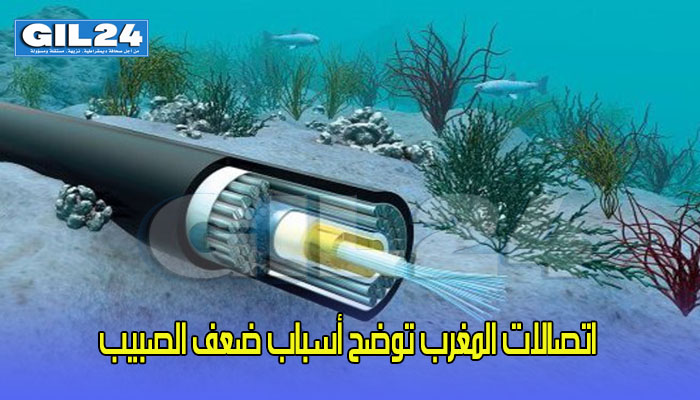 اتصالات المغرب توضح أسباب ضعف الصبيب缩略图 اتصالات المغرب توضح أسباب ضعف الصبيب缩略图