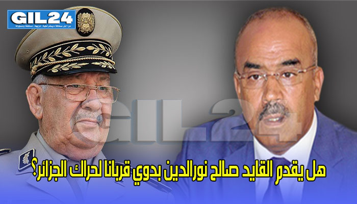 هل يقدم القايد صالح نورالدين بدوي قربانا لحراك الجزائر؟缩略图 هل يقدم القايد صالح نورالدين بدوي قربانا لحراك الجزائر؟缩略图