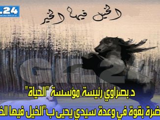 د.بصراوي رئيسة مؤسسة “الحياة” حاضرة بقوة في وعدة سيدي يحيى ب”الخيل فيها الخير”缩略图