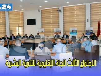 الاجتماع الثالث للجنة الإقليمية للتنمية البشرية缩略图