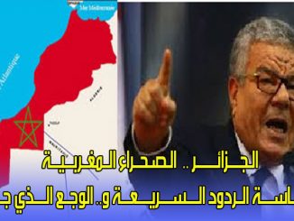 الـجــــزائـــــــر ..  الـصـحــراء الــمغــربـــيـــة وسـيــاســــة الــردود الــــســــريــــعـــة و.. الوجــع الــــذي جـــمـــع缩略图